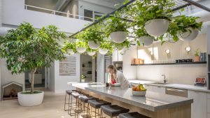 Woman leaning on counter in bright kitchen, hanging plants above, natural light streaming in.